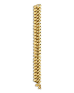 Nanis Trasformista